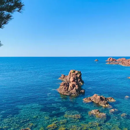 3 Pieces Elegant - Clim Terrasse Parking - アパート Saint-Raphaël