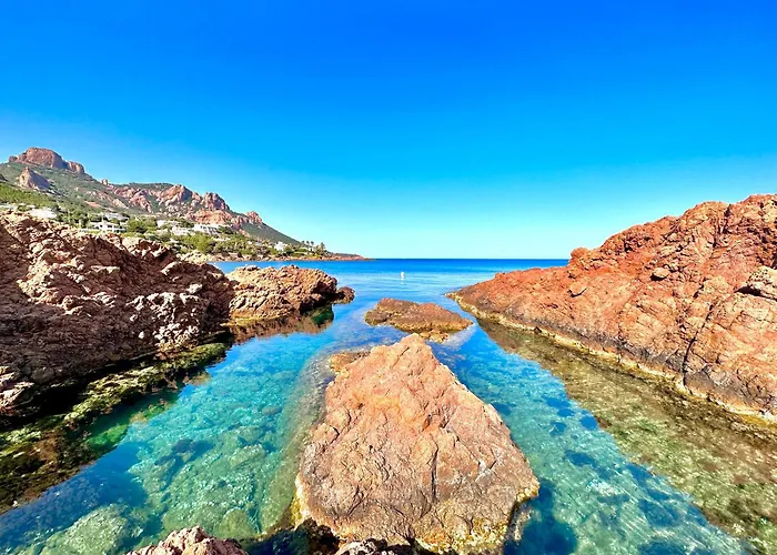 Apartment 3 Pieces Elegant - Clim Terrasse Parking -